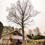 IMG-20250326-WA0009
